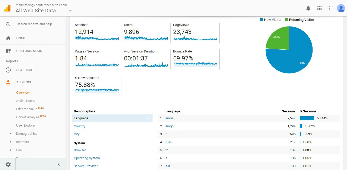 Visitor Analysis Report